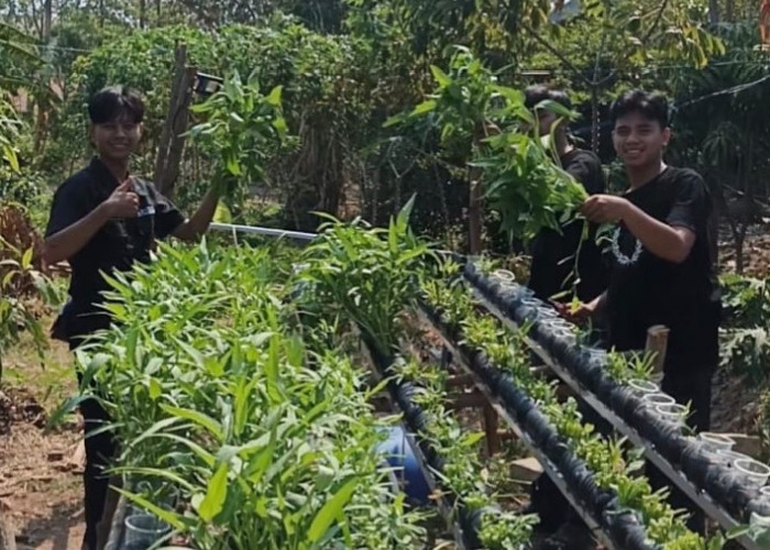 Gen Z Cirebon Cinta Lingkungan, Pemuda Galunggung Asih Ubah Sudut RW Jadi Lumbung Pangan Mandiri