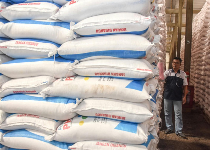 Segera Masuk Hujan, PKC Siagakan Stok Pupuk MT Okmar