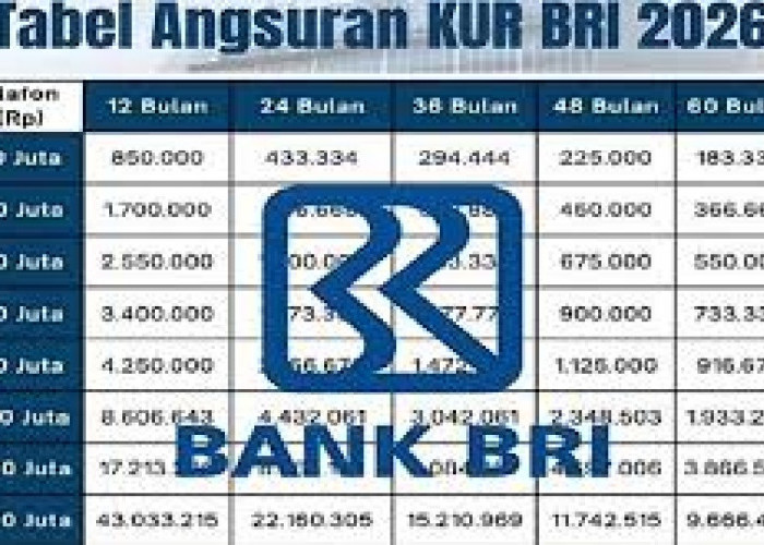 Tabel KUR BRI Pinjaman Rp 100-200 Juta untuk Modal Usaha UMKM