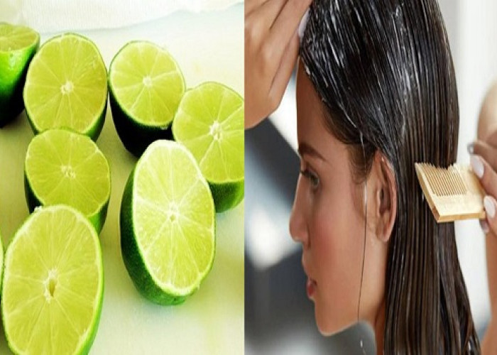 Manfaat Merawat Rambut dengan Menggunakan Jeruk Nipis dan Minyak Zaitun, Kulit Kepala Bersih 