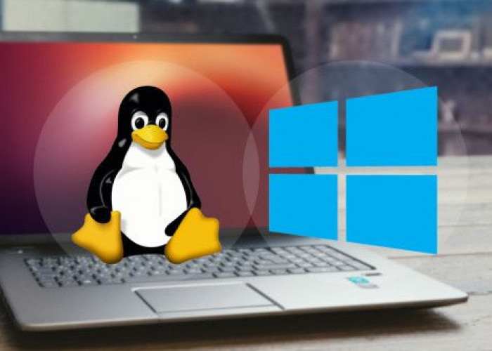 Partisi Hard Disk Dual Boot: Tips dan Trik Agar Tidak Kehilangan Data