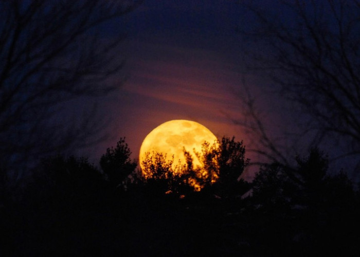 Fenomena Hunter’s Moon Hiasi Langit Indonesia 26 Oktober 2026, Ini Penjelasan BMKG