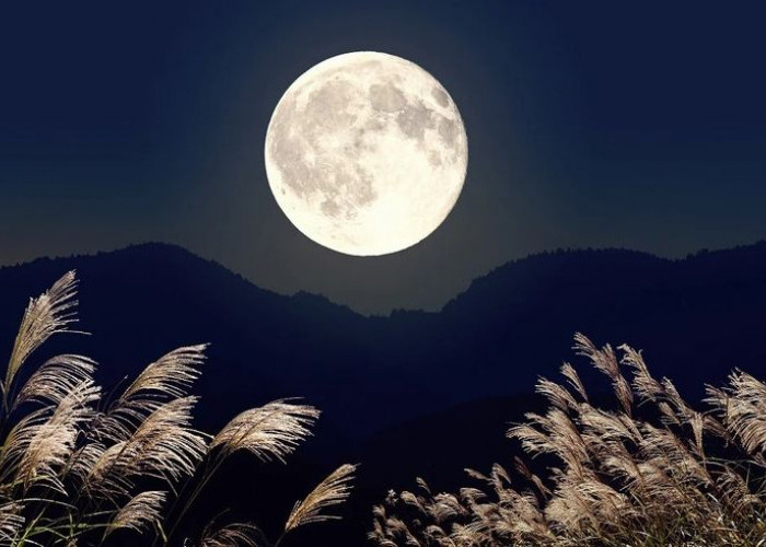 Harvest Moon Hiasi Langit Indonesia Malam Ini 26 September, Ini Jadwal Terbit dan Puncak Fasenya