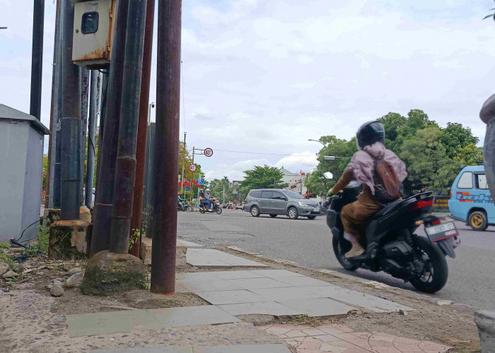 Satu Titik Lebih dari 12 Tiang Provider, Pemkot Segera Tebang