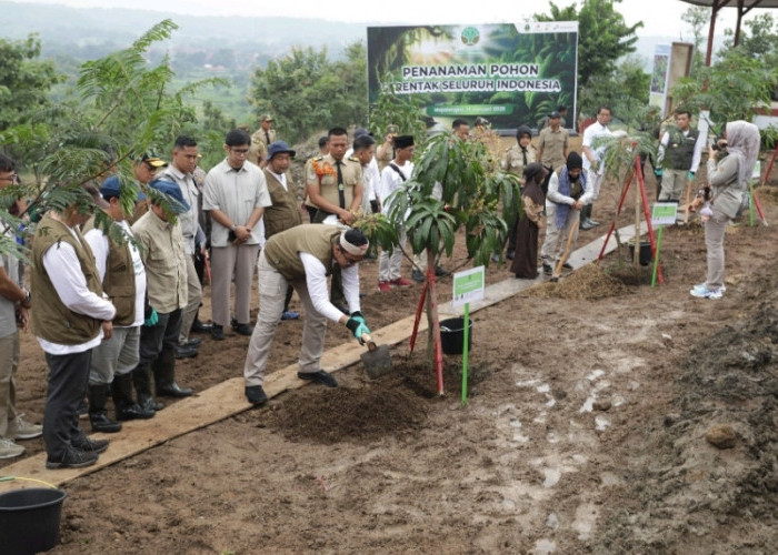 Penanaman Pohon Serentak Nasional, Pertamina EP Hijaukan 6,3 Hektare Lahan DAS