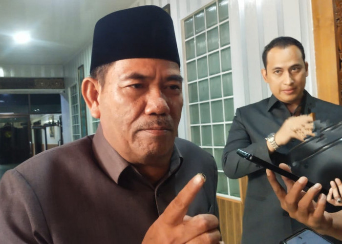 Abe Ngos-ngosan, Luthfi Miliki Peluang Jadi Calon Wakil Bupati