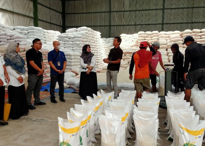 Stok Beras di Gudang Bulog Cirebon Capai 72.000 Ton, Cukup hingga Akhir Tahun 2026