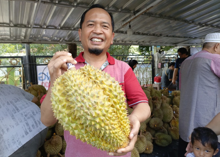 Festival Durian Andalus City, Baru Buka Langsung Diserbu