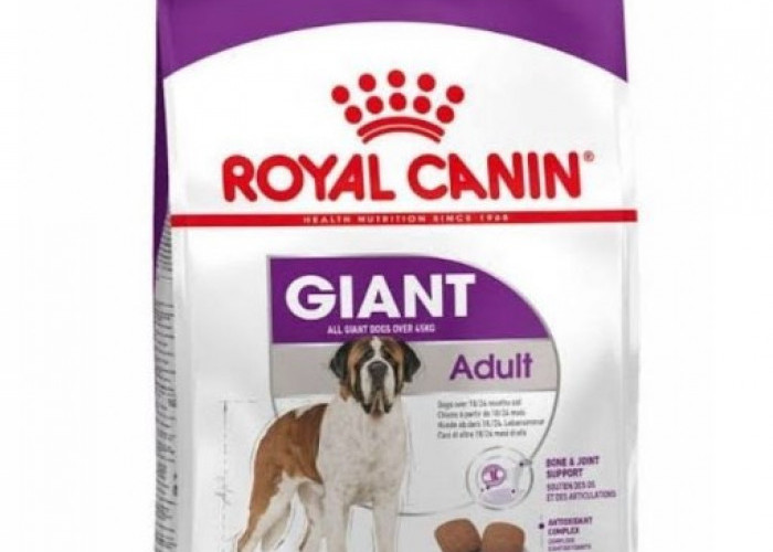 5 Makanan Anjing Terbaik dan Bernutrisi, Baik Untuk si Doggy 