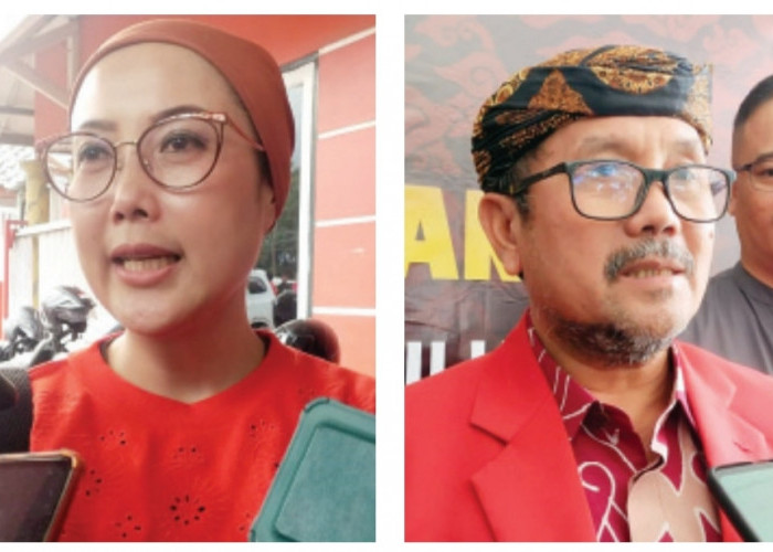 Hadapi Pilkada, Selly dan Imron Dikawinkan PDI Perjuangan