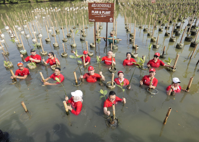 Tanam Mangrove di Utara Jakarta, Cara Generali Ubah Lembaran Asuransi Jadi Benteng Pesisir