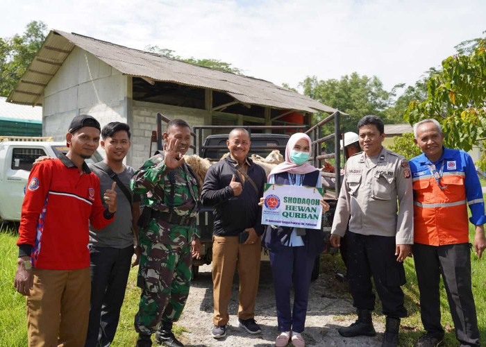 Sambut Iduladha, Indocement Cirebon Salurkan 158 Hewan Kurban