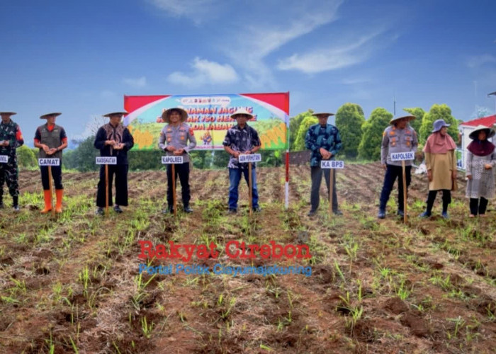 Polres Kuningan Tanam Jagung Serentak, Total Luas Menjangkau 22 Hektare 