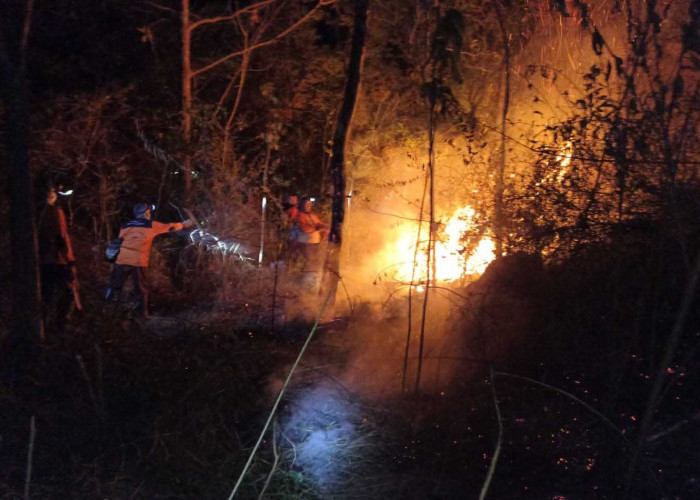 Selama September 138,34 Hektar Lahan TNGC Terbakar
