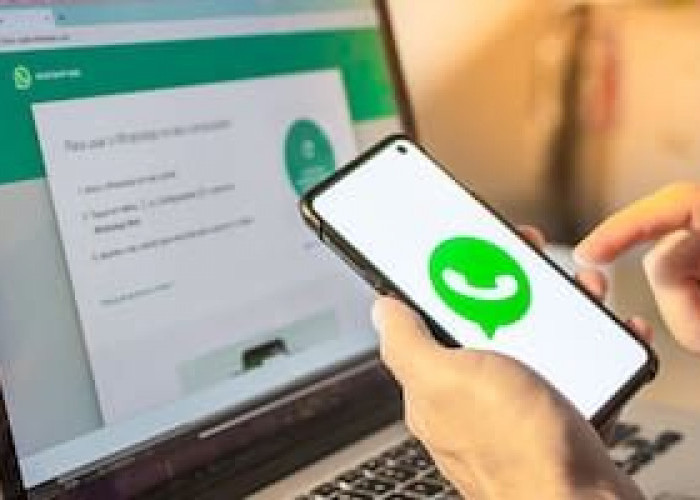 Trik Menghindari Penipuan Online Berkedok Kiriman File APK Di WhatsApp