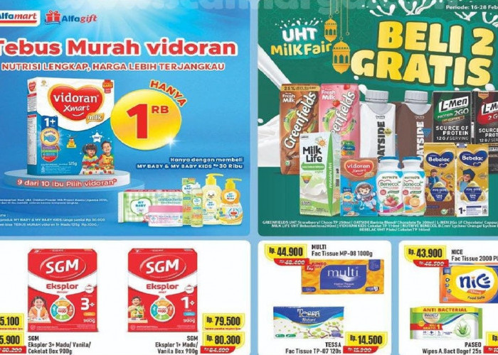 Katalog Promo Alfamart Hari Ini: Diskon Susu SGM Cuma Rp 75.900 & Mamy Poko Pants Rp 53.900