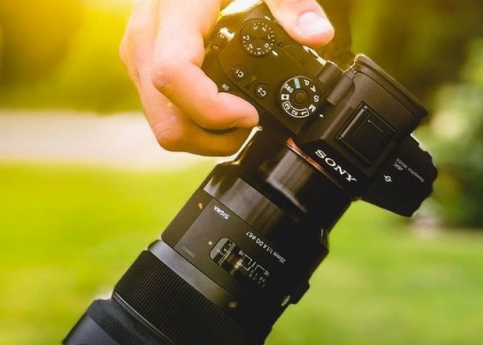 Foto dan Video? Jagoan! Review Sony A7 IV untuk Konten Kreator