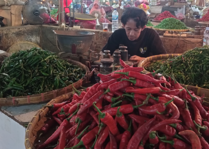 DKUKMPP Kota Cirebon Terus Lakukan Pemantauan Harga Cabai di Pasar Tradisional Kota Cirebon