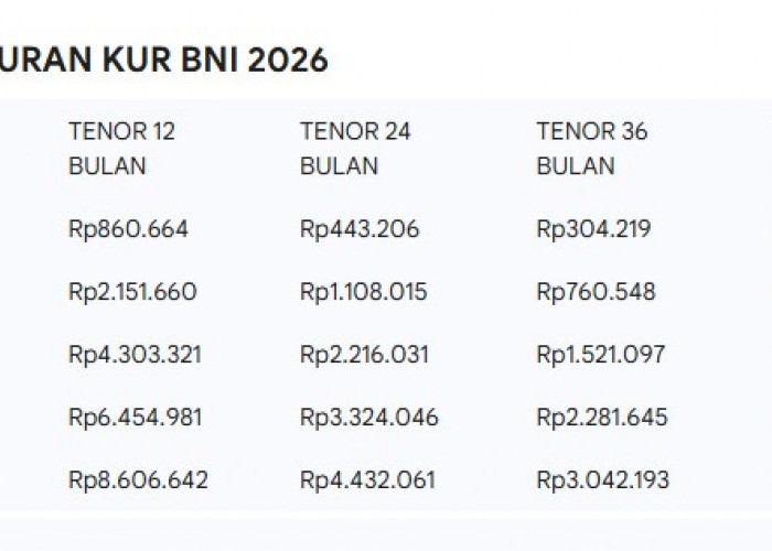 Simulasi Angsuran KUR BNI 2026: Rincian Cicilan Pinjaman 10 Juta - 100 Juta
