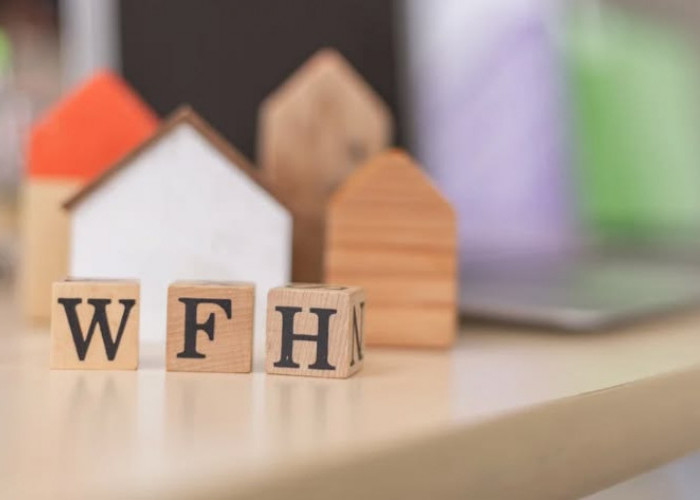 Kebijakan WFH ASN: Siapa Saja Aparat yang Boleh Kerja dari Rumah?