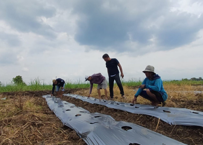 Pengelolaan BUMDes Japura Kidul Disoal, Warga Nuntut Transparansi Dana Desa