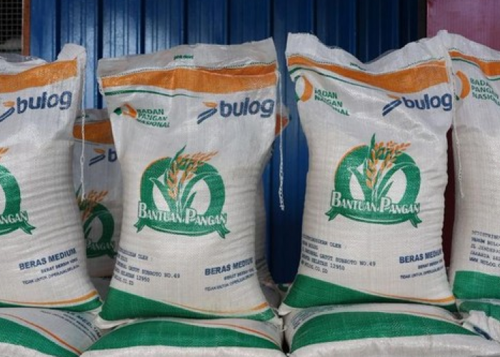 Cara Cek Penerima Bansos Beras 2026 Online Lewat Hp, Mudah Pakai KTP!