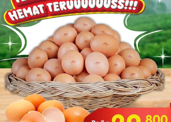 Promo Superindo Protein Fest 28 Okt - 4 Nov 2026: Telur Omega Rp 27.900 & Ikan Tuna Fillet Rp 8.990/100g!