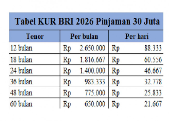 Tabel Angsuran KUR BRI 2026 Pinjaman Rp250-300 Juta: Cicilan Mulai Rp5 Jutaan, Tenor Hingga 5 Tahun