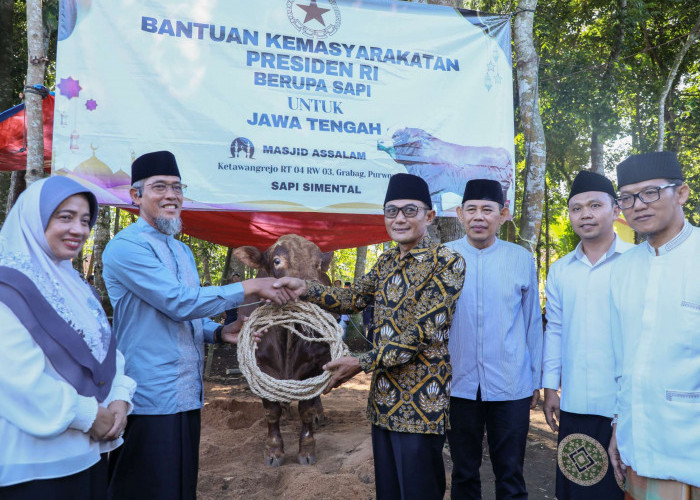 Presiden Prabowo Bagikan 36 Sapi Kurban di Jawa Tengah