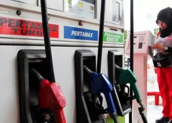 Update Harga BBM Pertamina Dex & Dexlite: Cek Selisihnya di Sini!