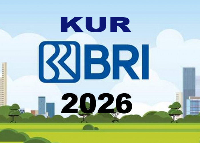 KUR BRI 2026 Dibuka: Berikut Simulasi Angsuran Pinjaman 500 Juta, Cek Cicilan Terendah