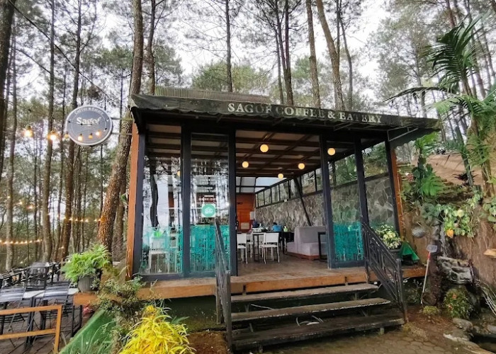 5 Cafe Kuningan Bernuansa Asri di Tengah Hutan Pinus, Cocok Buat Healing