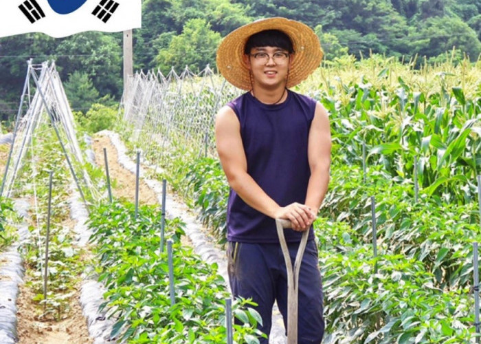 Pemuda Korea Ramai-ramai Pindah ke Desa, Jadi Petani, Alasannya untuk Masa Depan