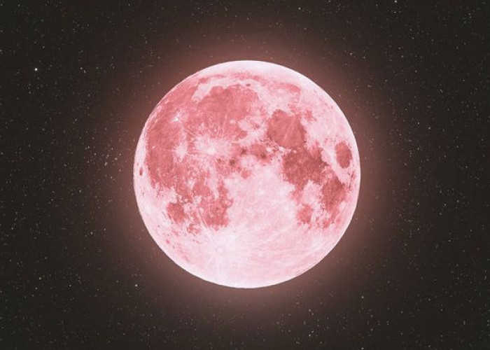 5 Lokasi Terbaik di Indonesia untuk Menikmati Fenomena Pink Moon