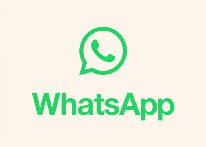 Cara Mengatasi Foto WhatsApp yang Tiba-Tiba Hilang dari Galeri HP, Jangan Panik Dulu!