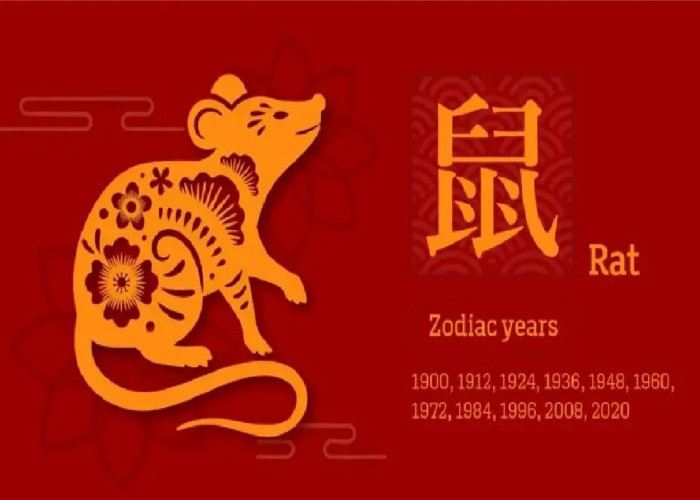 Ramalan Shio Keuangan Tikus Hari Ini 8 Februari 2026 & Strategi Bertahan