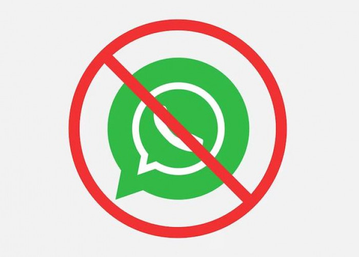 WhatsApp Tiba-Tiba Terblokir? Jangan Panik, Lakukan Cara Ini Agar Akun Kembali!