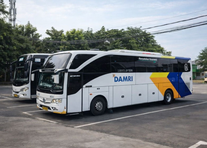 DAMRI Buka Rute Jakarta-Bali Maret 2026: Cek Harga Tiket, Jadwal, dan Cara Pesannya!