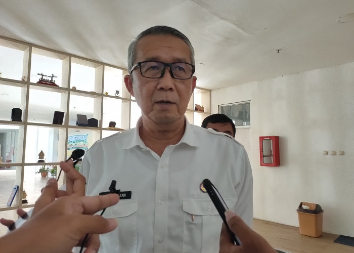 DBD di Kota Cirebon Melonjak, Sekda Kota Cirebon Minta Fogging Dibatasi karena Efek Samping