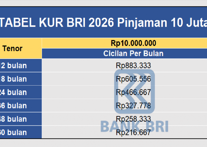 Simulasi Pinjaman Rp 10 Juta Tabel KUR BRI 2026, Angsuran Mulai Dari Rp 200 Ribuan