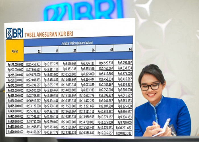 Biar Jelas, Begini Simulasi Pembayaran KUR BRI 2026 Rp150 Juta, Cicilan Paling Rendah untuk Tambah Modal