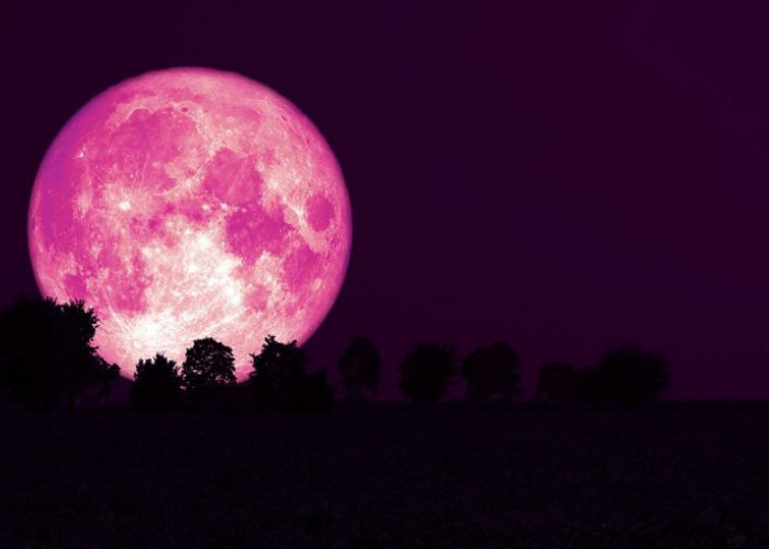 Fenomena Langit April 2026: Ada Pink Moon hingga Hujan Meteor