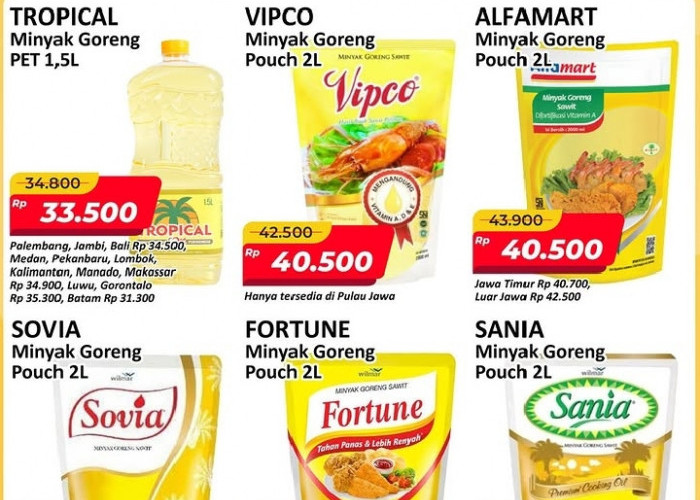 Promo Alfamart Minyak Goreng Murah Mulai Rp 33.500 Hari Ini Periode 1–8 Oktober 2026!