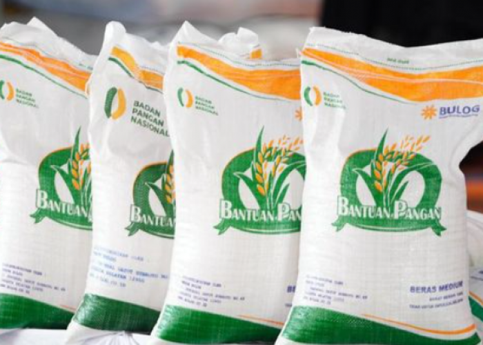Resmi Dilanjutkan! Bansos Beras 10Kg 2026, Begini Cara Cek dan Pencairannya