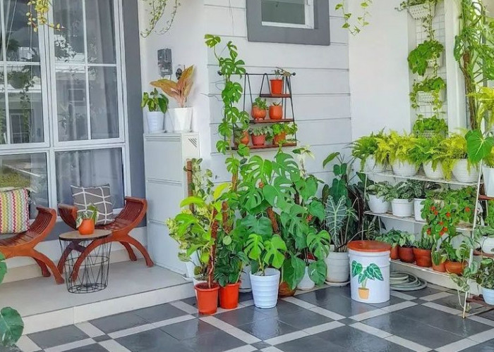 Cara Merawat Tanaman Hias Agar Subur dan Bebas Hama di Rumah