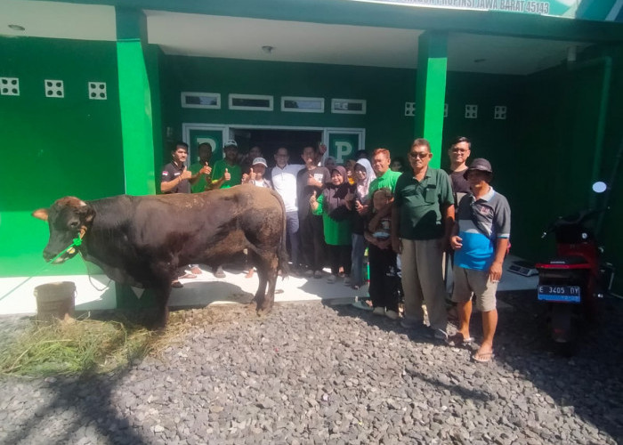 DPC PPP Kota Cirebon Kurban Sapi, Pererat Silaturahmi Pengurus