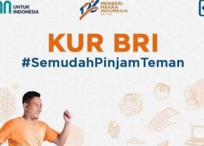 TERNYATA, KUR BRI Sudah Siapkan Rp270 Triliun untuk Modal Usaha se Indonesia, Buka Pengajuan Sejak Maret 2023