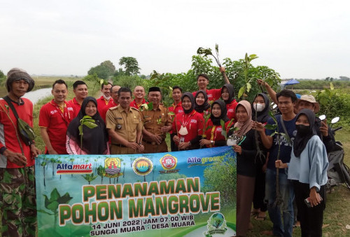 Sambut Hari Lingkungan Hidup, Alfamart Tanam 500 Pohon di Sungai Muara