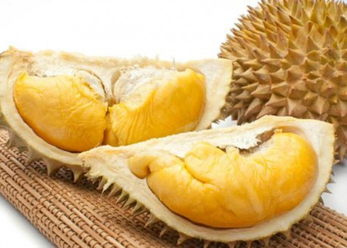 Berburu Kuliner Durian di Bandung, 4 Rekomendasi Tempat Makan Durian yang Wajib Dicoba Mulai Harga Rp 30 Ribu!