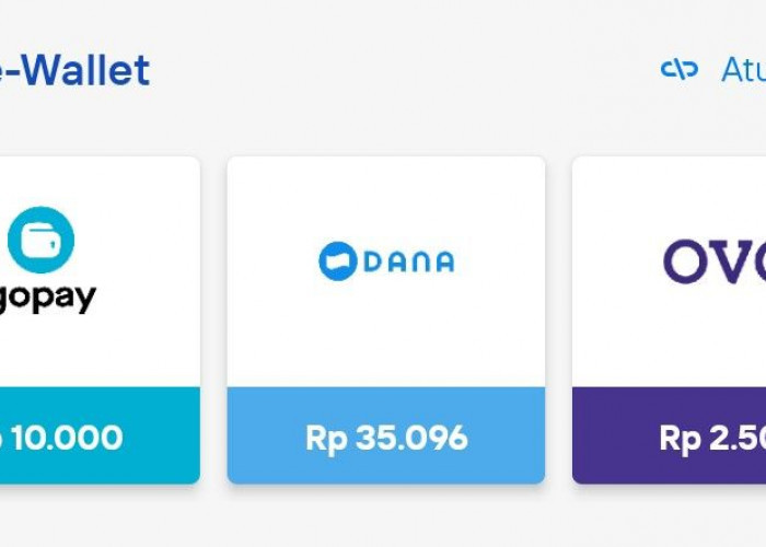 Cara Mengamankan Akun E-Wallet Agar Tidak Gampang Dihack Orang Lain